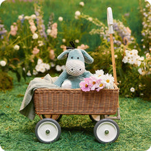 Load image into Gallery viewer, Warmies - Lavender Scented Plush Gifts - Donkey - My First Warmies
