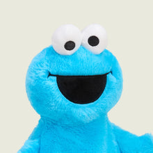 Load image into Gallery viewer, Cookie Monster Warmie - Sesame Street
