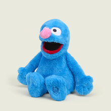 Load image into Gallery viewer, Grover Warmie - Sesame Street
